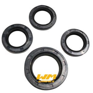 SELLO DE ACEITE(JUEGO) CS125,DS125,DS150,VS90,WS150,