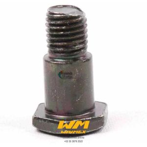 TORNILLO DE PARADOR LATERAL CS125, DS125, DS150, WS150