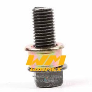 TORNILLO Y BUJE PARADOR CENTRAL CS125, DS125, DS150, WS150