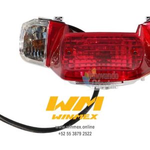 CALAVERA TRASERA WS150