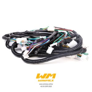 Arnés Completo Italika CS125