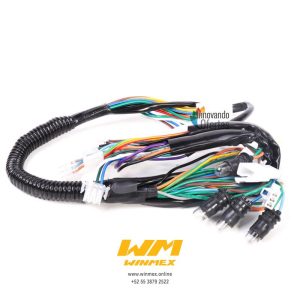 ARNES SUPLEMENTARIO CS125