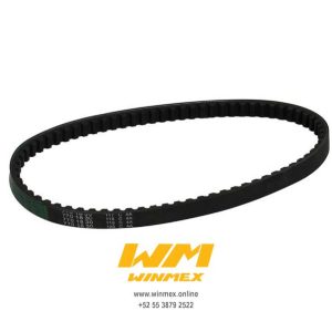 BANDA DE TRACCION 770 BW?S 100