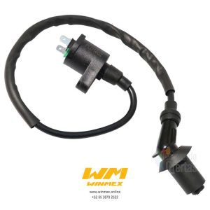 BOBINA DE IGNICION CS125,DS125,DS150,WS150,GS150,XS150,XS125,