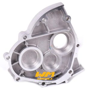 CONJUNTO CAJA DE TRANSMISION CS125,DS125,DS150,WS150,