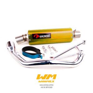 ESCAPE DEPORTIVO UNIVERSAL MOTO TRABAJO Y PISTA DT DORADO