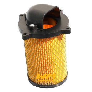 FILTRO DE AIRE DM150