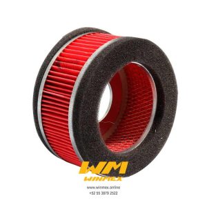 FILTRO DE AIRE  DS125,DS150,GS150 (09),XS150,