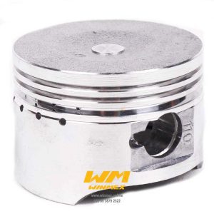 PISTON Y ANILLOS STD AT110