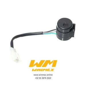 RELAY DE DIRECCIONALES CS125,DS125,DS150,WS150,GS150,XS150,XS125