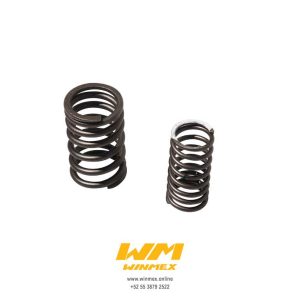 RESORTE EXTERNO E INTERNO DE VALVULA CS125,DS125,DS150,WS150