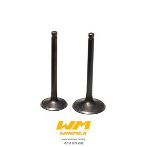 VALVULAS DE MOTOR DS150,WS150,