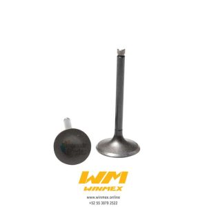 VALVULAS DE MOTOR GTS175