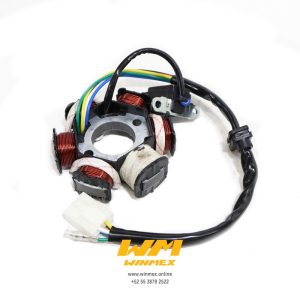 ESTATOR (6 BOBINAS) AT110RT