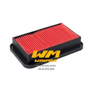 FILTRO DE AIRE CARGO 150