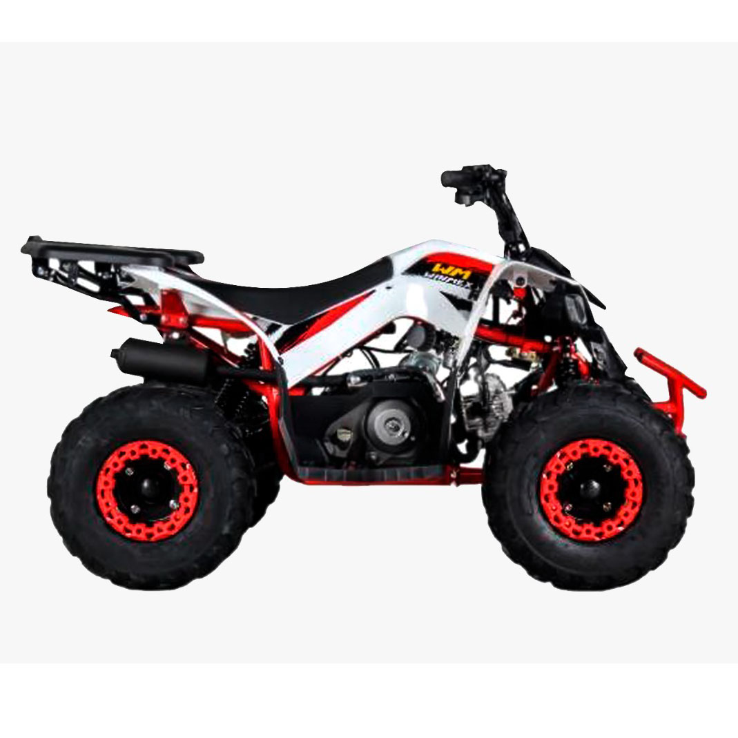 Cuatrimoto MH110 cc - Imagen 2