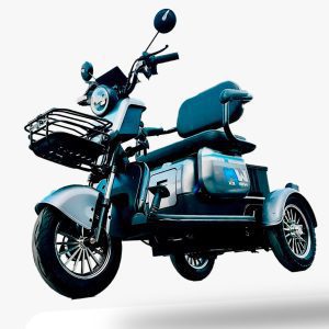 Triciclo Eléctrico
