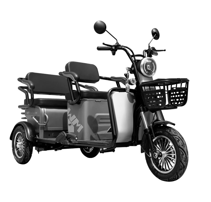 Triciclo Eléctrico WM - Imagen 2