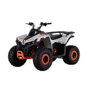 CUATRIMOTO MH150X